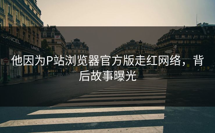 他因为P站浏览器官方版走红网络，背后故事曝光