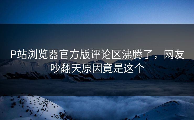 P站浏览器官方版评论区沸腾了，网友吵翻天原因竟是这个