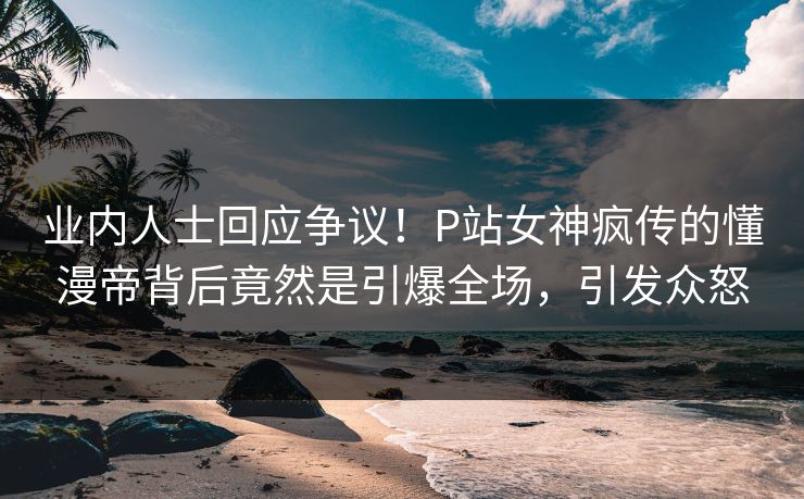 业内人士回应争议！P站女神疯传的懂漫帝背后竟然是引爆全场，引发众怒