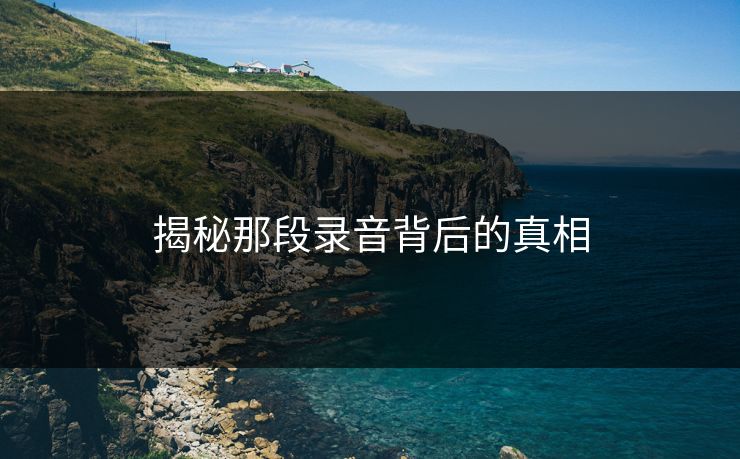揭秘那段录音背后的真相 揭秘那段录音背后的真相
